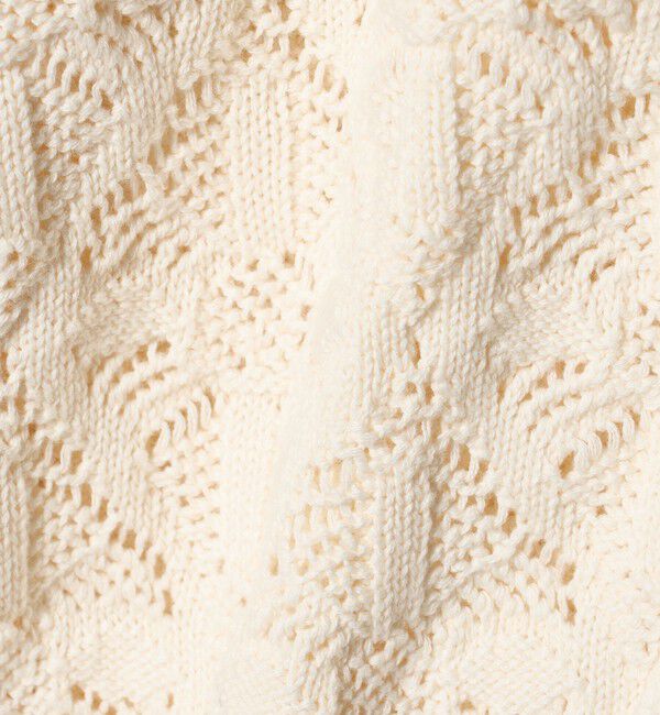 BEAUTY&YOUTH UNITED ARROWS「【WEB限定 Wardrobe DAILY MINIMAL】レース ジップカーディガン ウォッシャブル」|カーディガン|