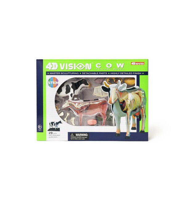 BEAMS「4D MASTER / ANIMAL ANATOMY」|その他|