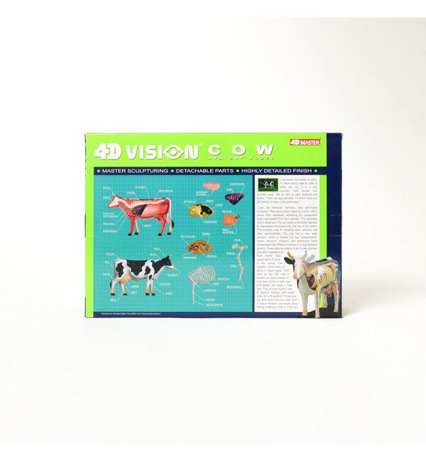BEAMS「4D MASTER / ANIMAL ANATOMY」|その他|