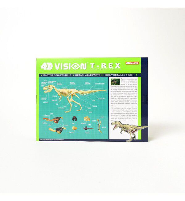 BEAMS「4D MASTER / ANIMAL ANATOMY」|その他|