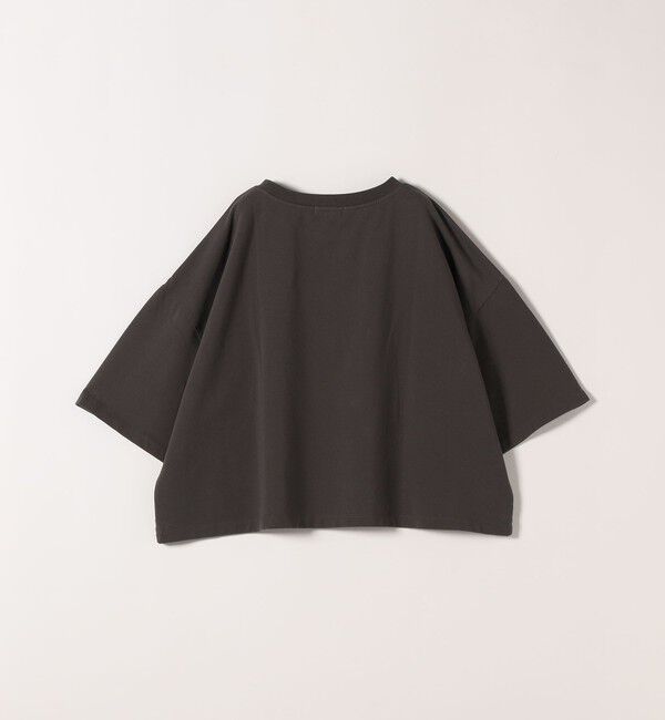 SHIPS any「【WEB限定】SHIPS any:〈洗濯機可能〉インレイ ハーフスリーブ ショートTEE」|Tシャツ・カットソー|