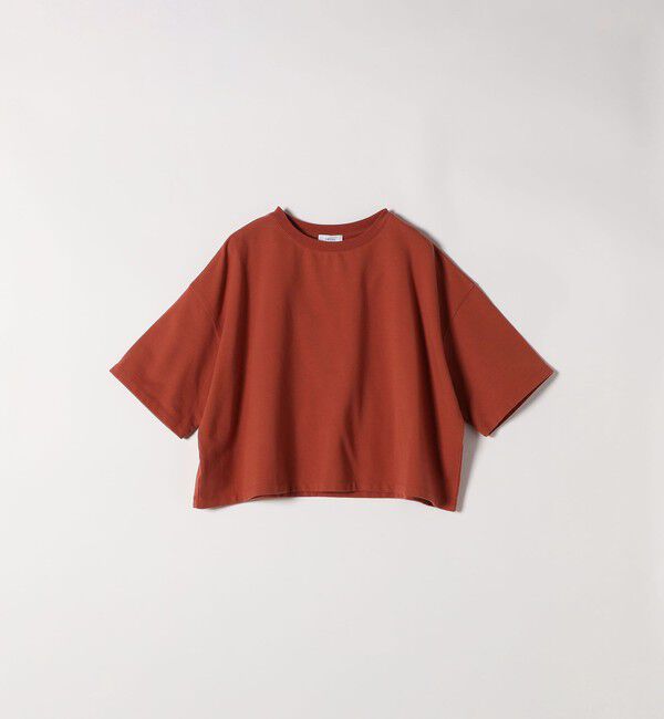 SHIPS any「【WEB限定】SHIPS any:〈洗濯機可能〉インレイ ハーフスリーブ ショートTEE」|Tシャツ・カットソー|