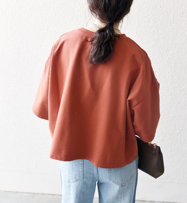 SHIPS any「【WEB限定】SHIPS any:〈洗濯機可能〉インレイ ハーフスリーブ ショートTEE」|Tシャツ・カットソー|