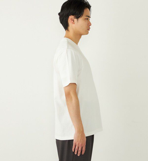 SHIPS Colors 「SHIPS Colors: TeddyBear(R) プリント & ステッチ Tシャツ◇」|Tシャツ・カットソー|