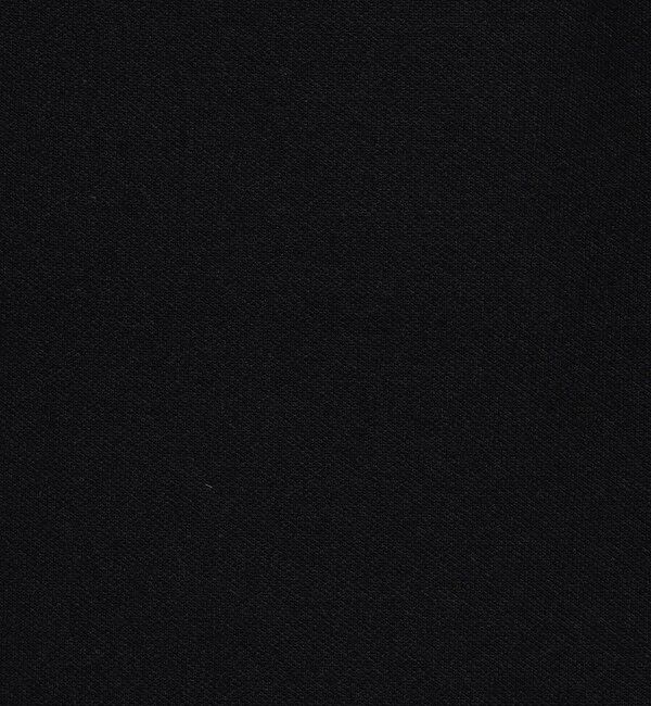 DES PRES「レーヨンナイロンダブルフェイス Aラインミディスカート」|台形|