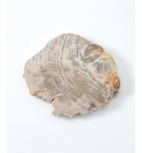 journal standard Furniture「PETRIFIED WOOD PLATE ウッドプレートS」|香水・フレグランス|その他カラー A