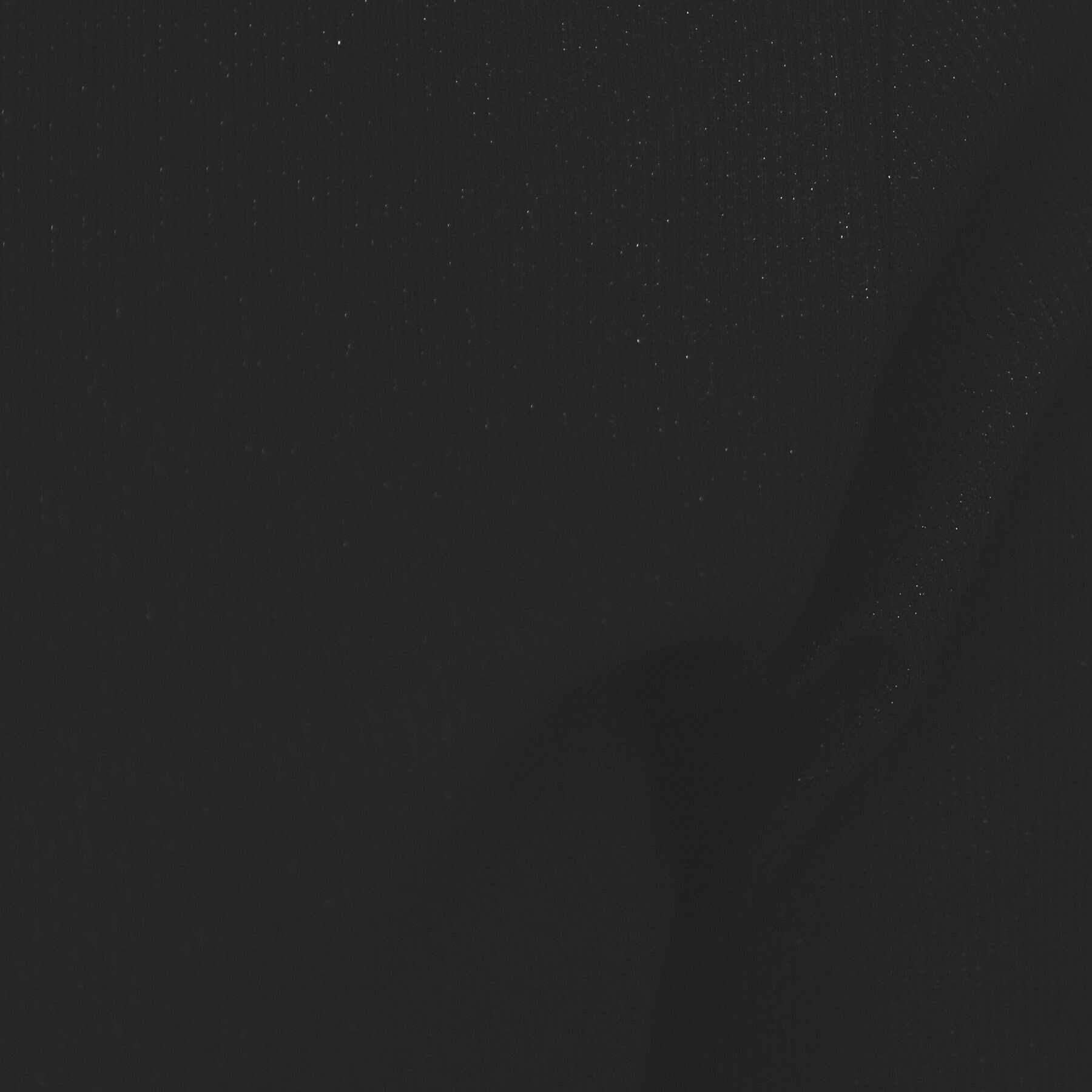 index「ラメリブクルーネックトップス【洗濯機洗い可】」|Tシャツ・カットソー|