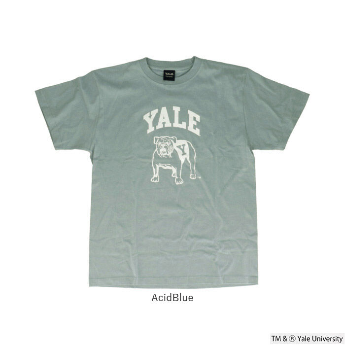 BACKYARD FAMILY「Tシャツ シャツ 半袖 YALE 通販 カットソー tシャツ 半袖Tシャツ 半袖tシャツ」|Tシャツ・カットソー|
