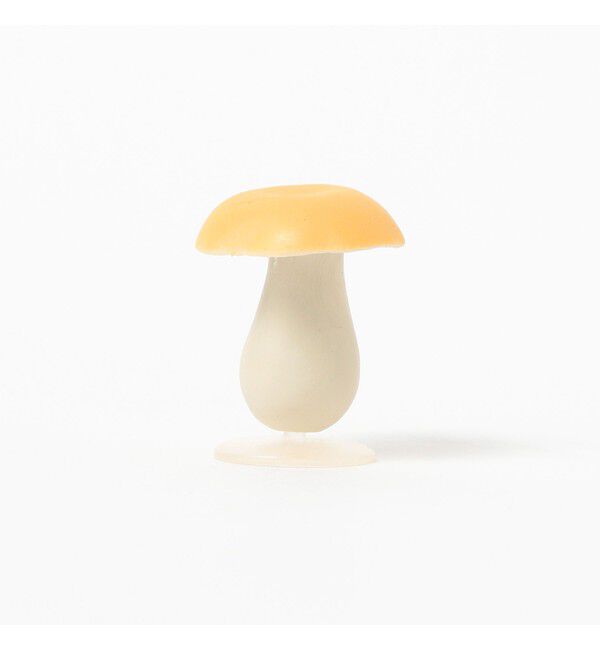 BEAMS「AMP_MUSHROOMS」|その他|