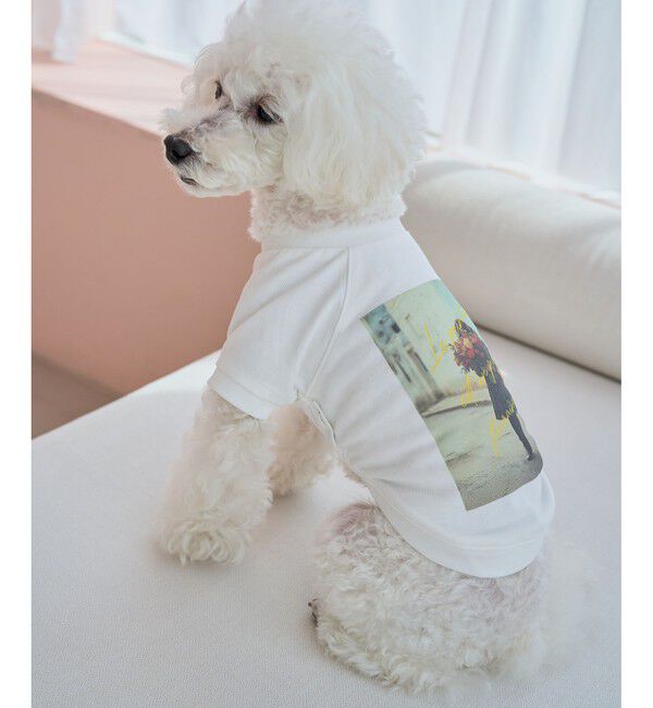 ROPE PICNIC PASSAGE「【DOG】RENUフォト&ロゴTシャツ/リンクコーデ」|その他|