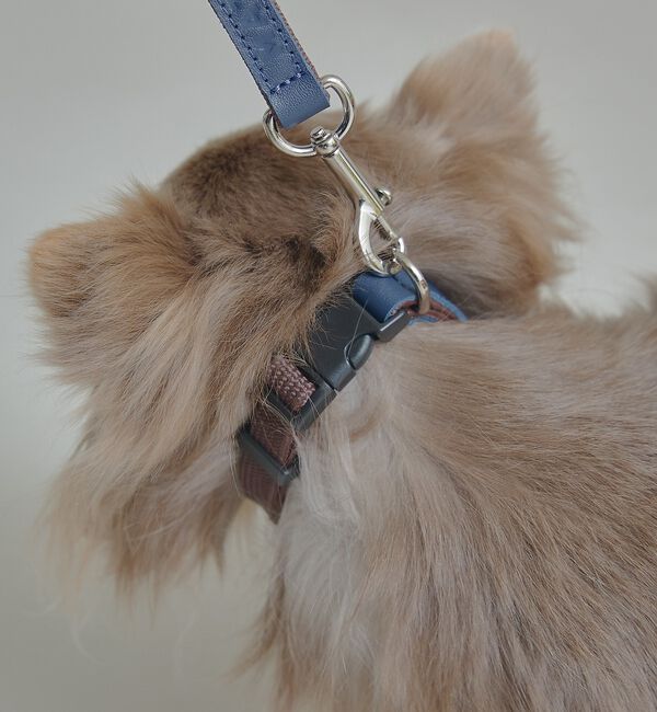 LOWELL things「MATIE/小型犬/首輪【Direction by  有末 麻祐子】」|その他|