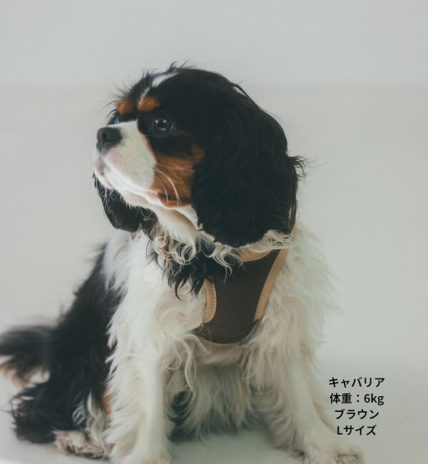 LOWELL things「MATIE/ハーネス(S/M/L)【Direction by 有末麻祐子】」|その他|
