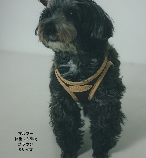 LOWELL things「MATIE/ハーネス(S/M/L)【Direction by 有末麻祐子】」|その他|