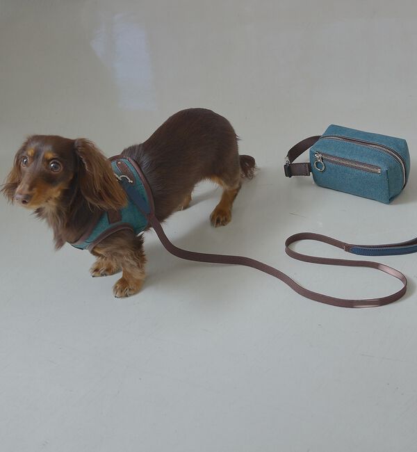 LOWELL things「MATIE/ハーネス(S/M/L)【Direction by 有末麻祐子】」|その他|