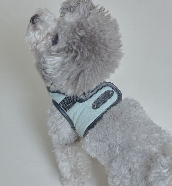 LOWELL things「MATIE/ハーネス(S/M/L)【Direction by 有末麻祐子】」|その他|