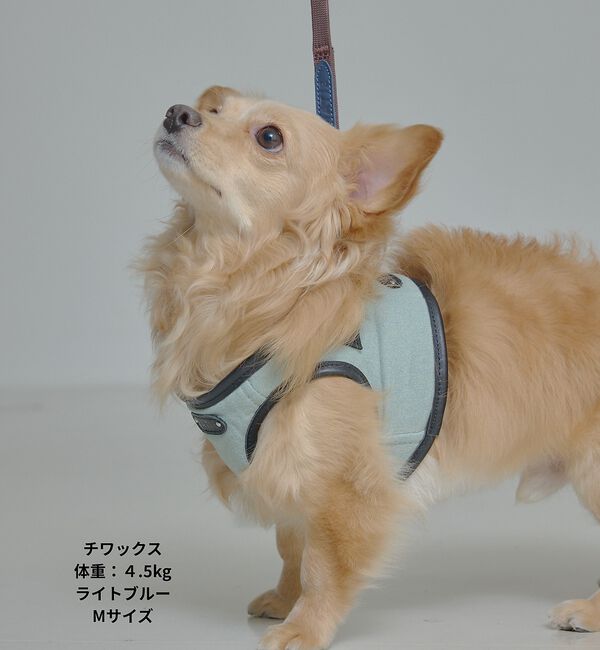 LOWELL things「MATIE/ハーネス(S/M/L)【Direction by 有末麻祐子】」|その他|