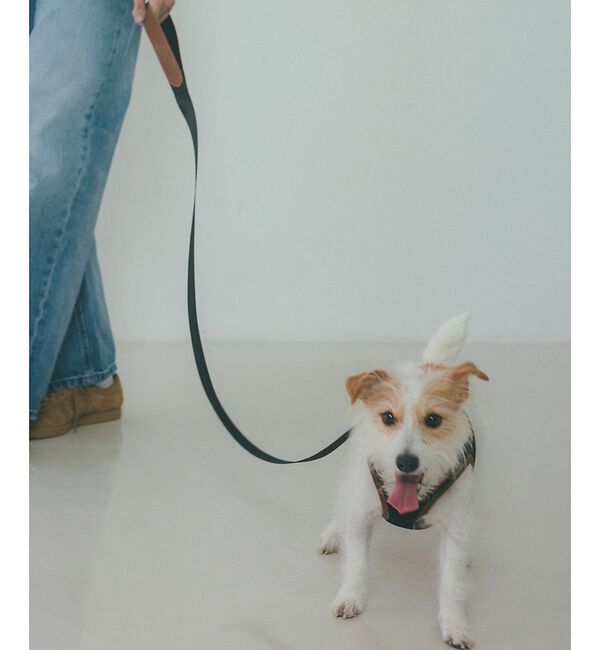 LOWELL things「MATIE/中型犬/ショートリード【Direction by 有末 麻祐子】」|その他|ブラック