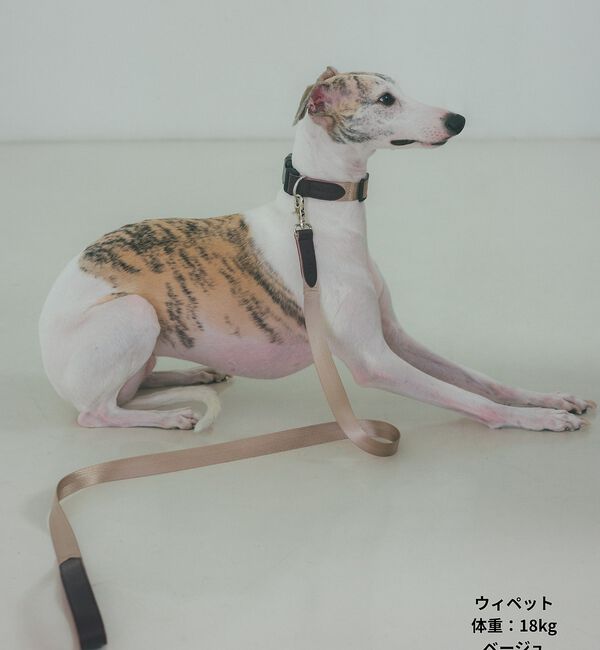 LOWELL things「MATIE/中型犬/ショートリード【Direction by 有末 麻祐子】」|その他|