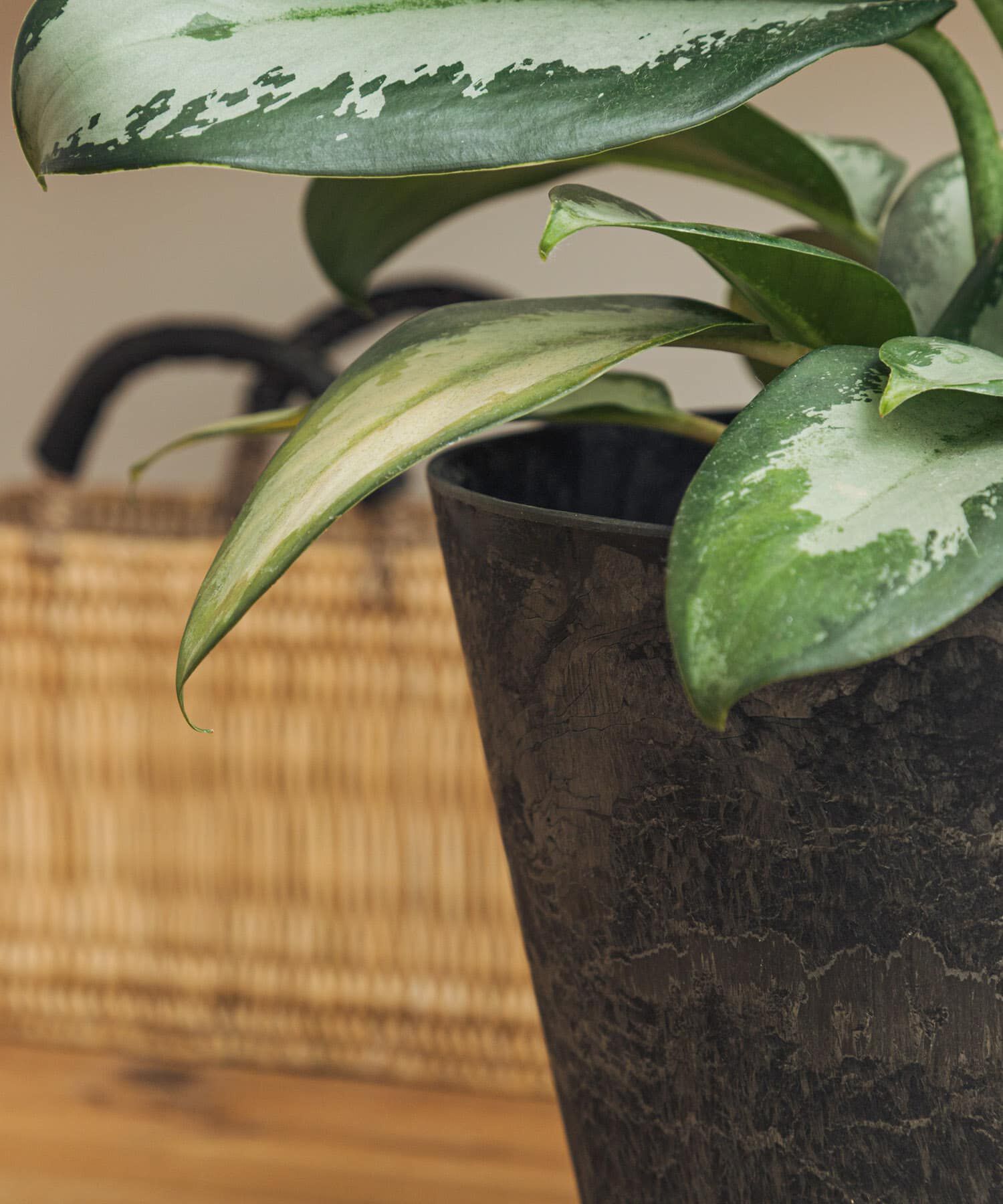 URBAN RESEARCH DOORS「『WEB限定』amabro　ART STONE M BK」|フィギュア・ホビー|