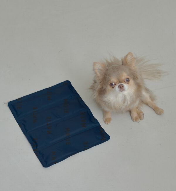 LOWELL things「MATIE/ 保冷ジェルマットL/ペットリュック対応【Direction by」|その他|