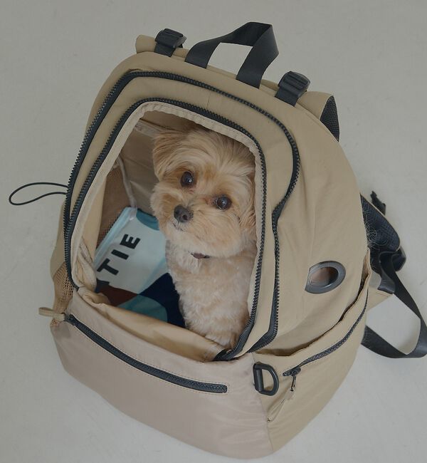 LOWELL things「MATIE/ 保冷ジェルマットL/ペットリュック対応【Direction by」|その他|