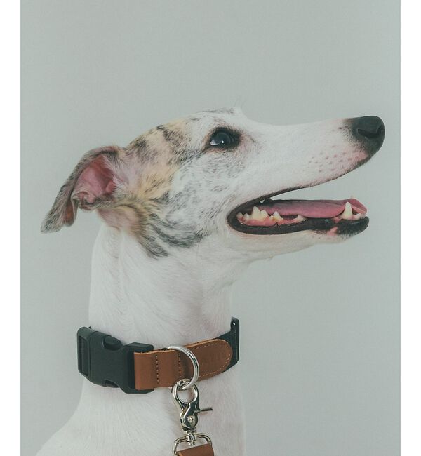 LOWELL things「MATIE/中型犬/首輪【Direction by 有末 麻祐子】」|その他|ブラック