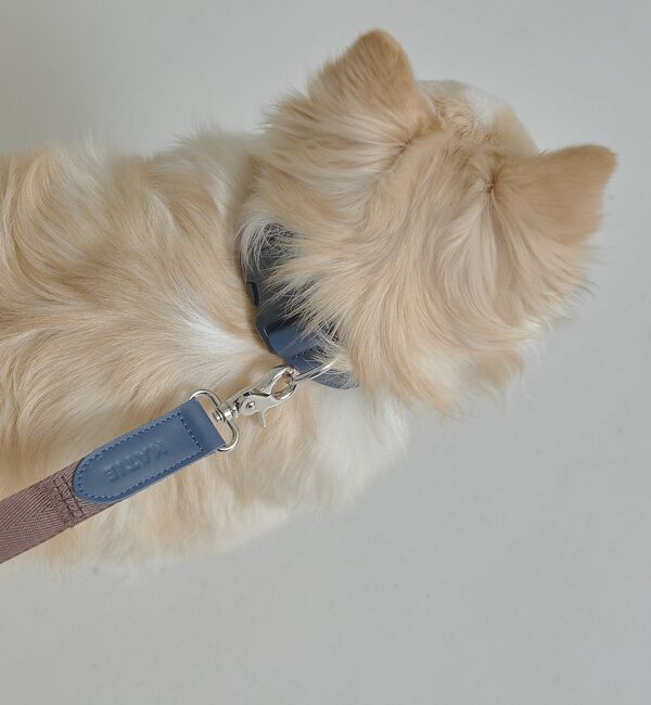 LOWELL things「MATIE/中型犬/首輪【Direction by 有末 麻祐子】」|その他|