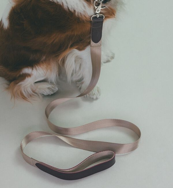 LOWELL things「MATIE/中型犬/ショートリード【Direction by 有末 麻祐子】」|その他|