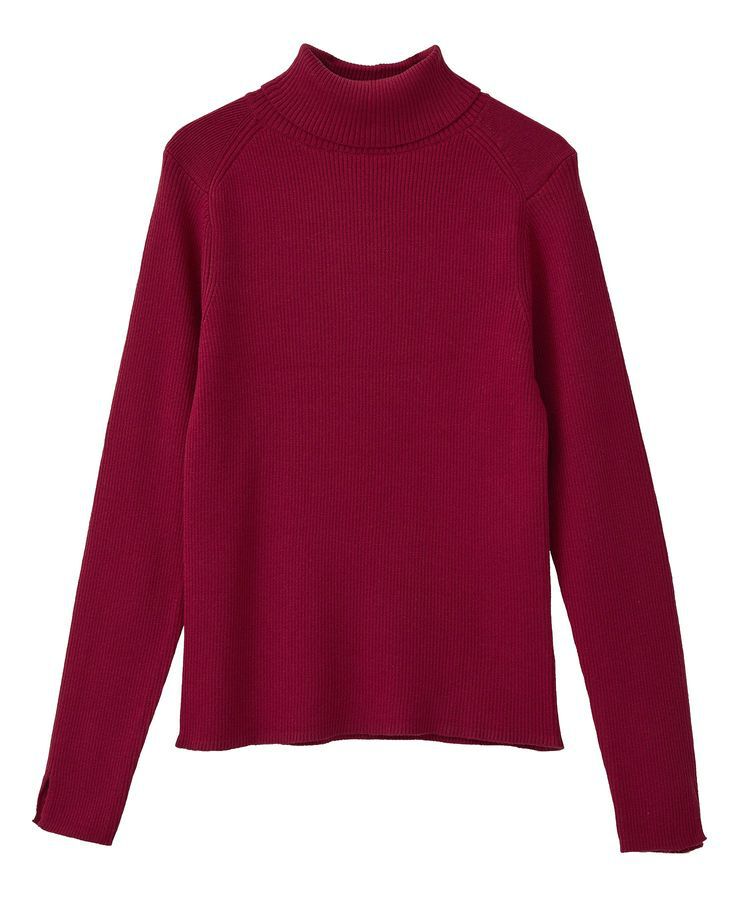 earth music&ecology「レンチング(TM)エコヴェロ(TM)(リブタートル)」|ニット・セーター|