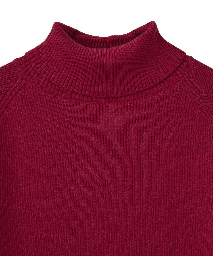 earth music&ecology「レンチング(TM)エコヴェロ(TM)(リブタートル)」|ニット・セーター|