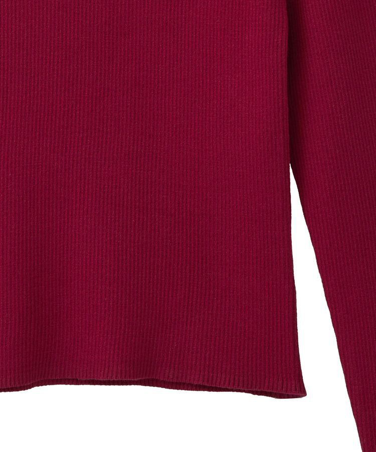 earth music&ecology「レンチング(TM)エコヴェロ(TM)(リブタートル)」|ニット・セーター|