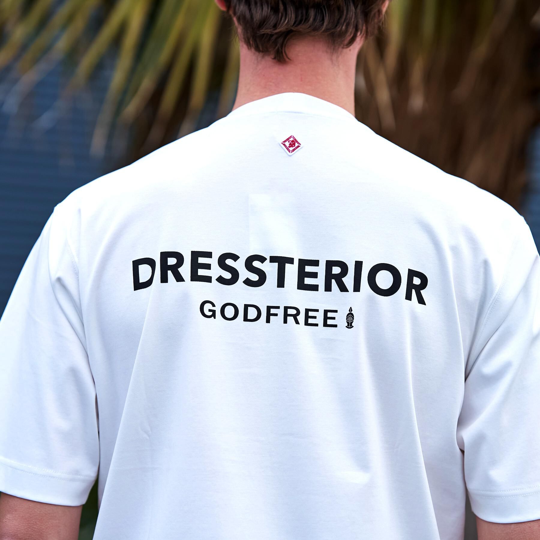 DRESSTERIOR「【接触冷感／抗菌防臭／消臭】ICE CLEAR COTTON オーバーフィットTシャツ」|Tシャツ・カットソー|