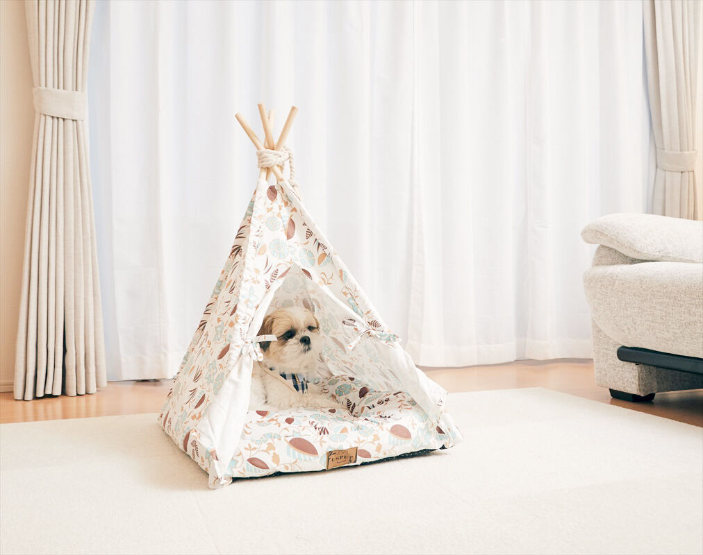 BACKYARD FAMILY「犬 猫 ハウス おしゃれ 室内 楽天 キャットハウス ドッグハウス ティピーテント ペットハウス」|その他|