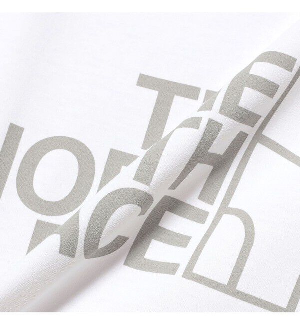 Ray BEAMS 「【WEB限定】THE NORTH FACE / ショートスリーブ ES ビッグロゴティー」|Tシャツ・カットソー|