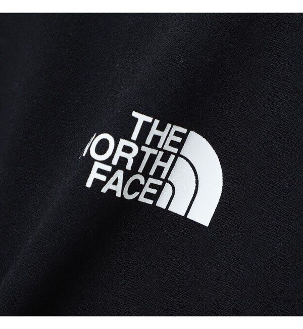 Ray BEAMS 「【WEB限定】THE NORTH FACE / ショートスリーブ ES ビッグロゴティー」|Tシャツ・カットソー|