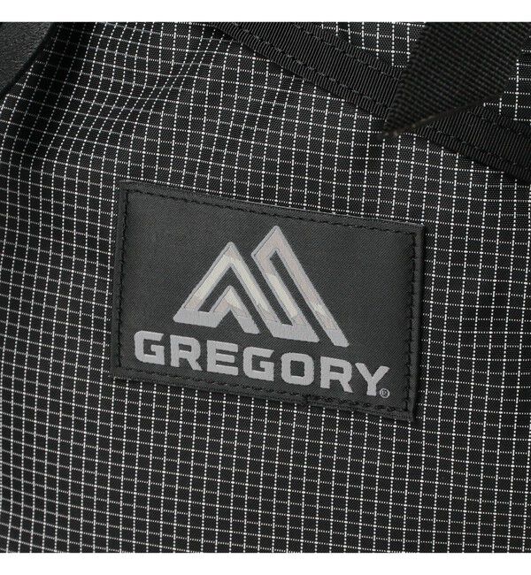 BEAMS「【別注】GREGORY / Mighty Day Lite RIP STOP」|リュック|