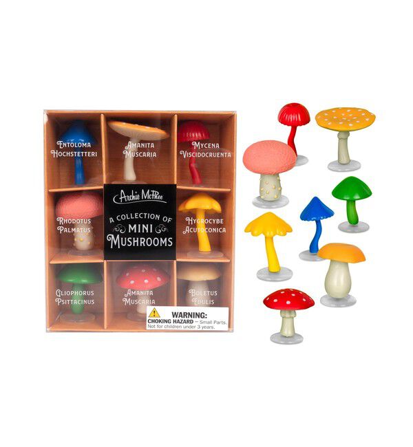 BEAMS「AMP_MUSHROOMS」|その他|-