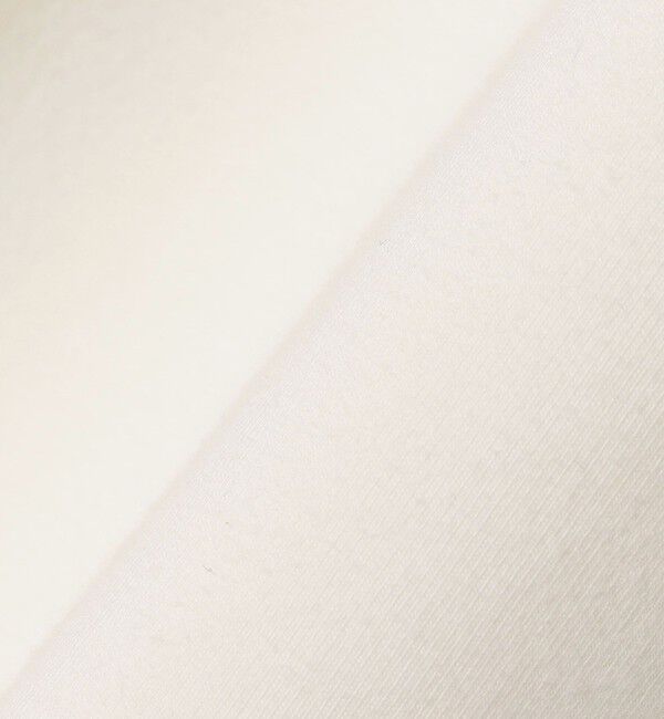 SHIPS any「【WEB限定】SHIPS any:〈洗濯機可能〉インレイ ハーフスリーブ ショートTEE」|Tシャツ・カットソー|