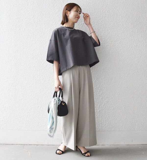 SHIPS any「【WEB限定】SHIPS any:〈洗濯機可能〉インレイ ハーフスリーブ ショートTEE」|Tシャツ・カットソー|