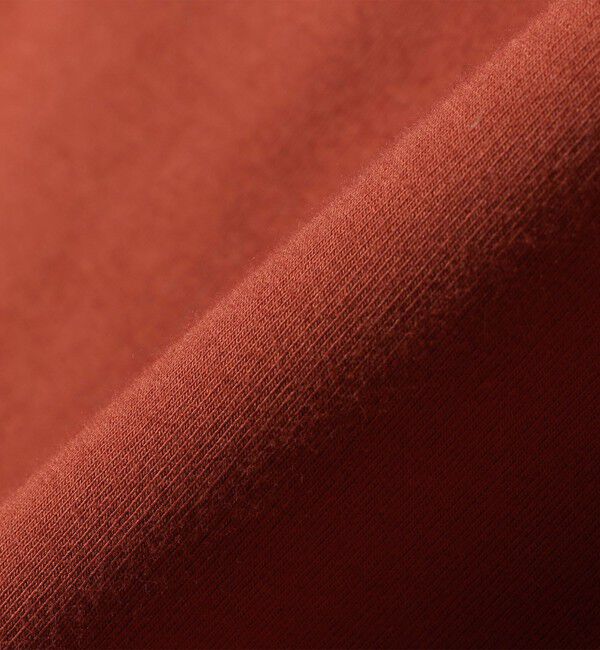 SHIPS any「【WEB限定】SHIPS any:〈洗濯機可能〉インレイ ハーフスリーブ ショートTEE」|Tシャツ・カットソー|