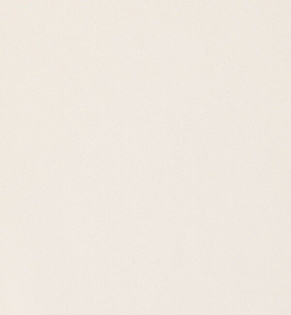 DES PRES「レーヨンナイロンシアー ボートネックプルオーバー」|ニット・セーター|