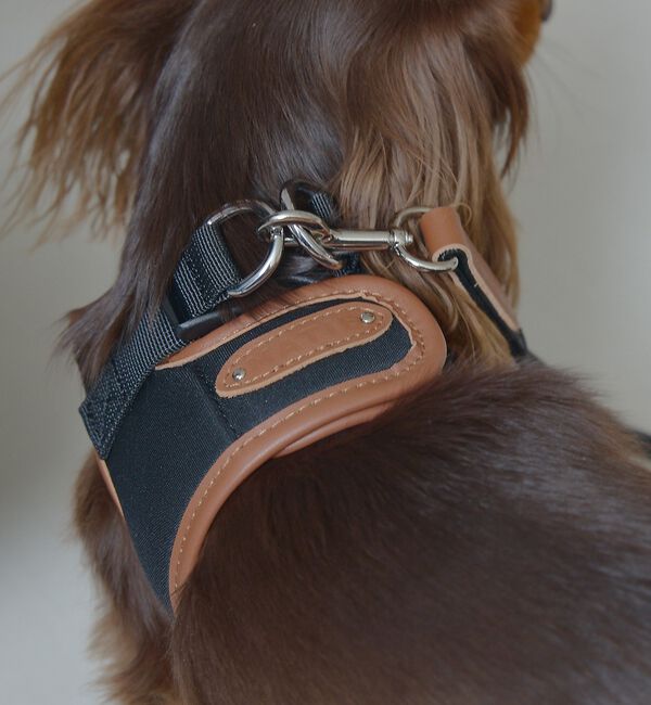 LOWELL things「MATIE/ハーネス(S/M/L)【Direction by 有末麻祐子】」|その他|