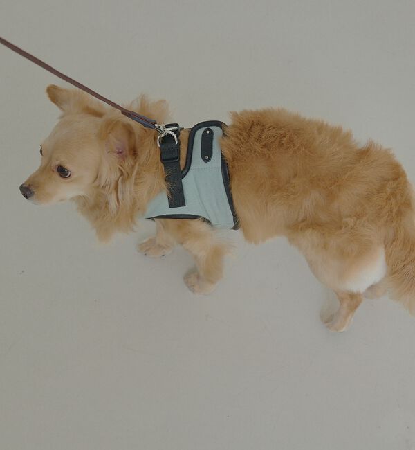 LOWELL things「MATIE/ハーネス(S/M/L)【Direction by 有末麻祐子】」|その他|