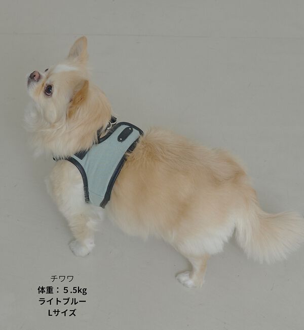 LOWELL things「MATIE/ハーネス(S/M/L)【Direction by 有末麻祐子】」|その他|