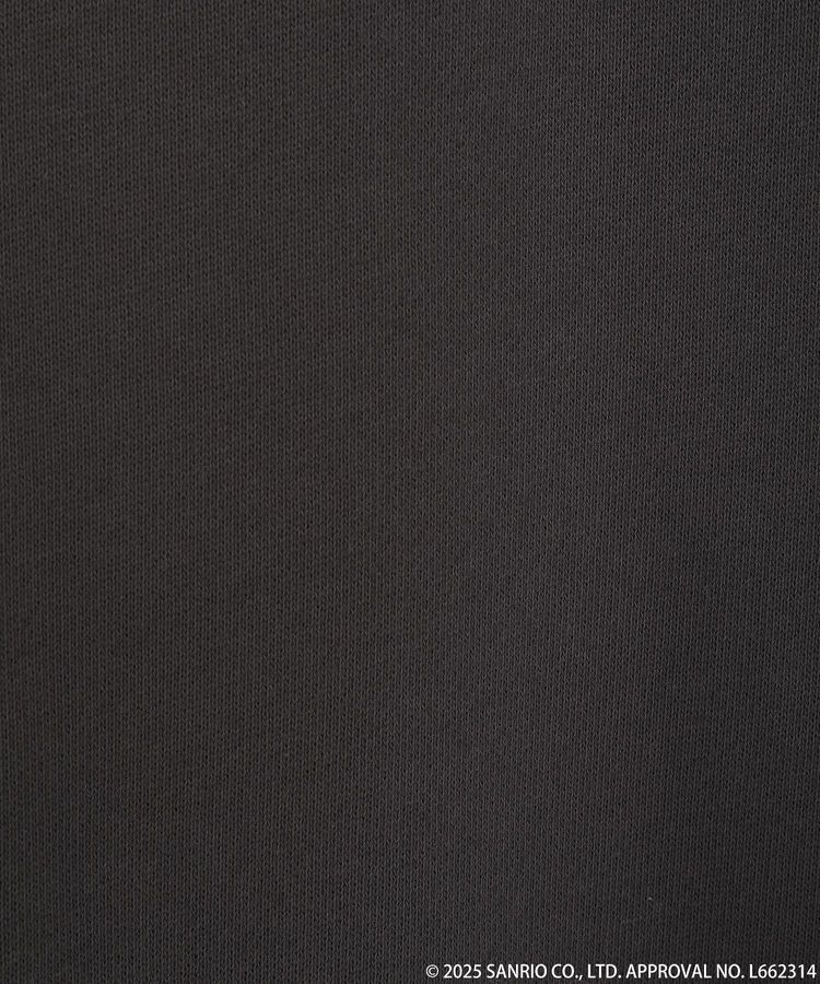 earth music&ecology「マイメロディ&クロミ/earth 耳付きフーディー」|スウェット・ジャージ|