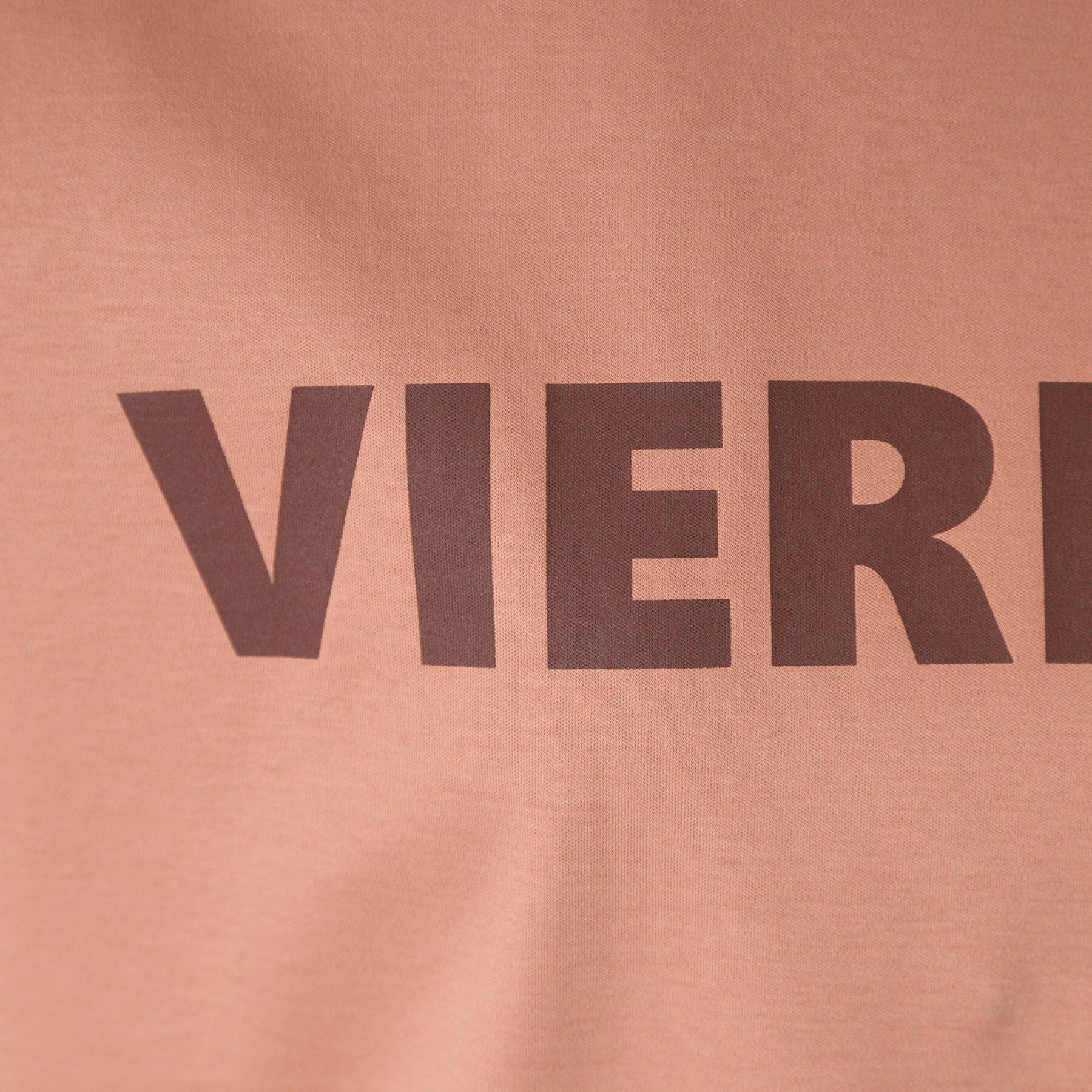 DRESSTERIOR「【接触冷感/抗菌防臭/消臭】アイスクリアコットン VIERNESロゴT」|Tシャツ・カットソー|