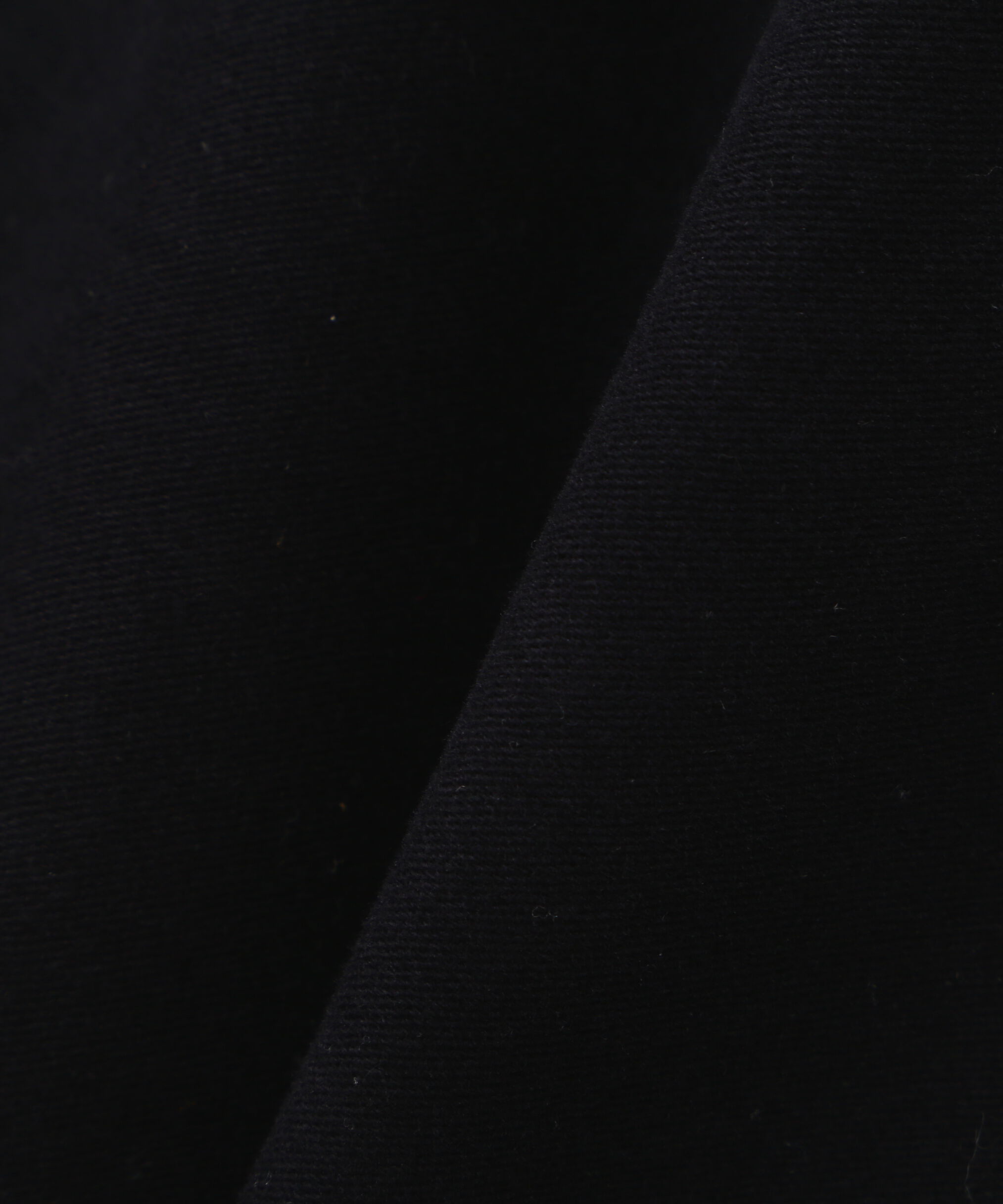 YLEVE 「Ｙ / ORGANIC COTTON SOFT MOLESKIN EASY TROUSERS」|その他|