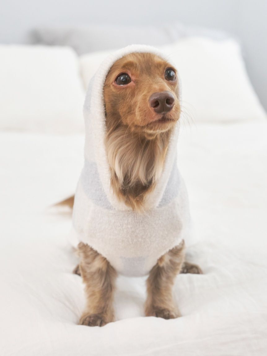  GELATO PIQUE CAT&DOG「【CAT&DOG】スムーズィーダックスサイズ２ボーダーフーディー」|その他|