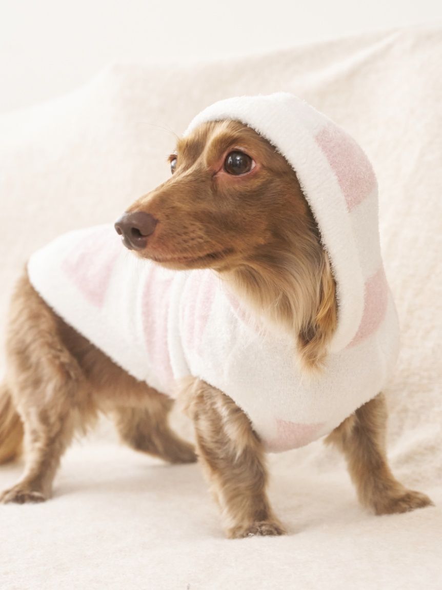  GELATO PIQUE CAT&DOG「【CAT&DOG】スムーズィーダックスサイズ２ボーダーフーディー」|その他|