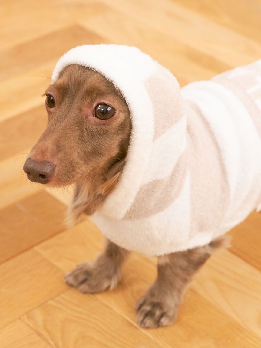  GELATO PIQUE CAT&DOG「【CAT&DOG】スムーズィーダックスサイズ２ボーダーフーディー」|その他|